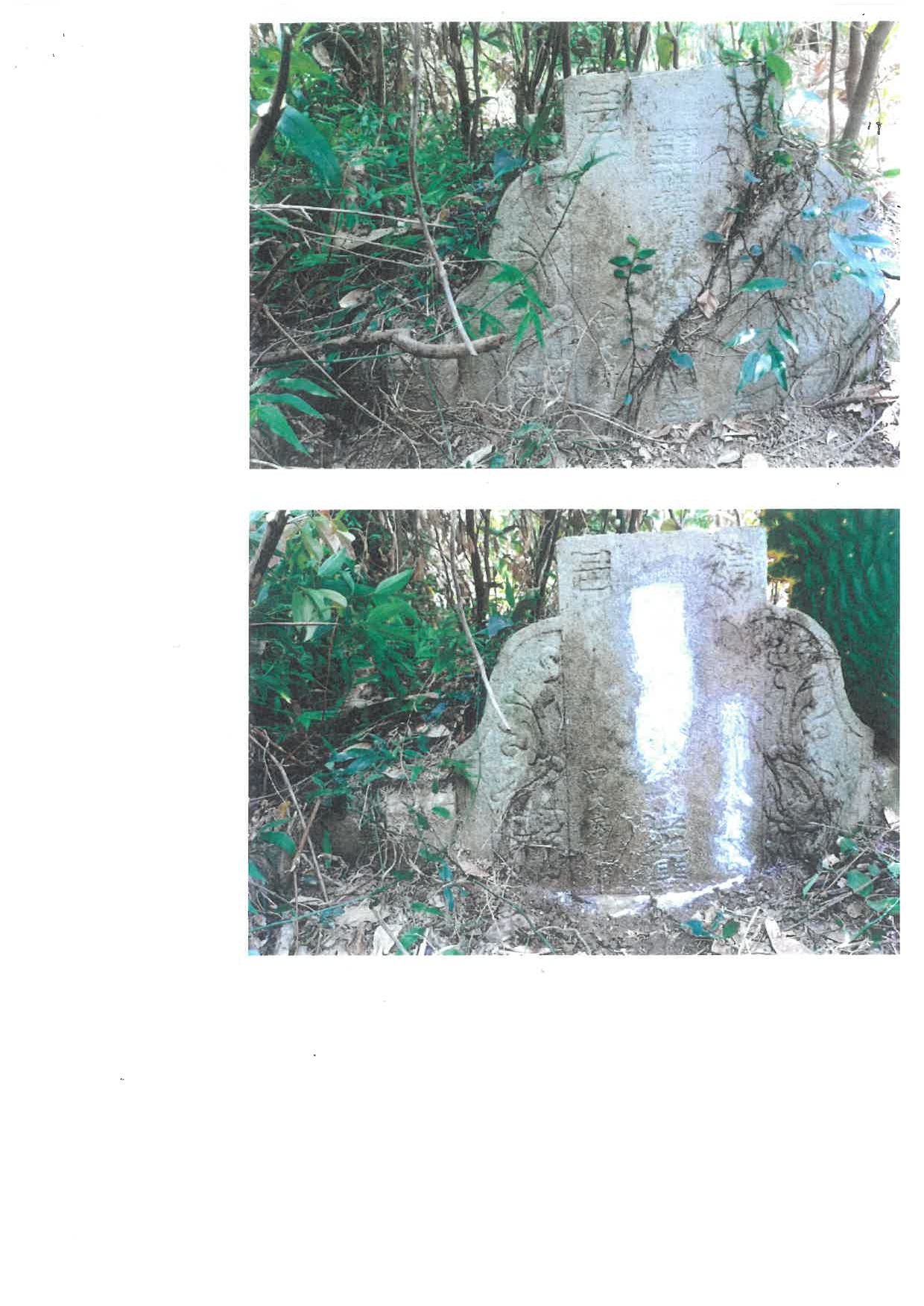 南投縣竹山鎮代為公告本鎮中州段671地號私人土地範圍內無主墳墓照片